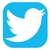 SEGUI I TWITTER DELL'ARTISTA